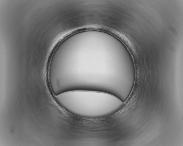 X0000113071327200908281001