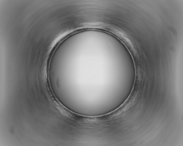 X0000113071328200908281001