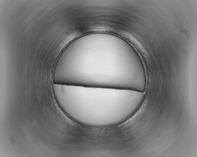 X0000113071329200908281001