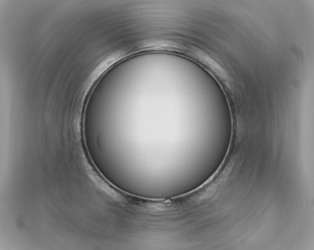 X0000113071330200908281001
