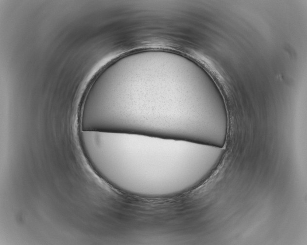X0000113071331200908281001
