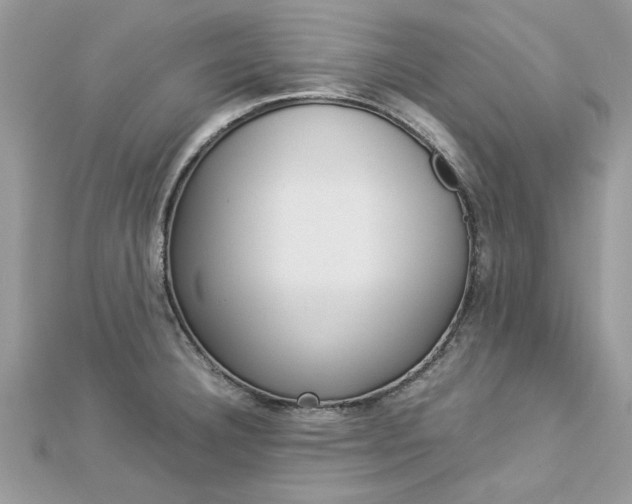 X0000113071332200908281001