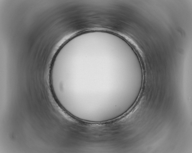 X0000113071333200908281001