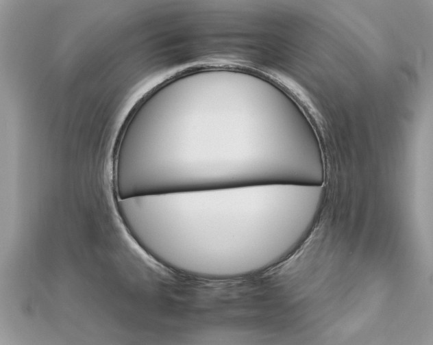 X0000113071335200908281001