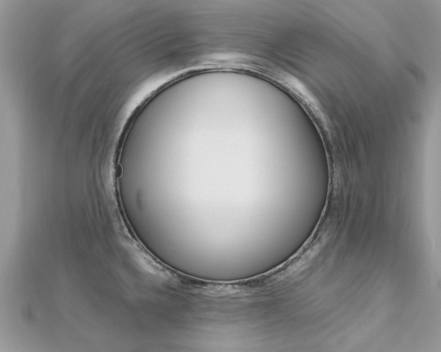 X0000113071336200908281001