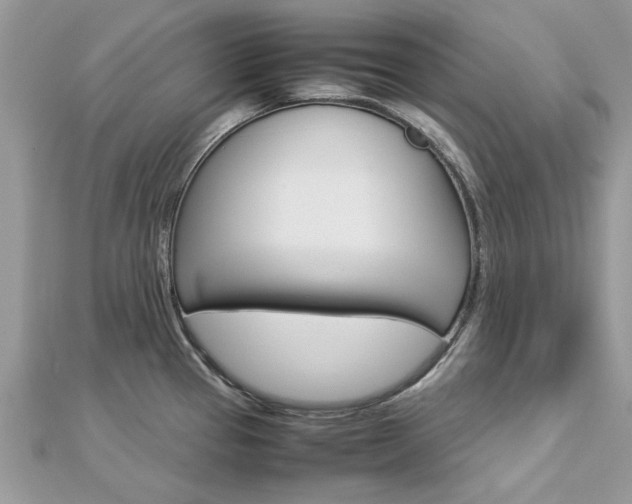 X0000113071337200908281001