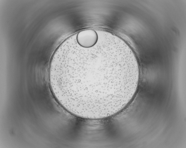 X0000113071338200908281001