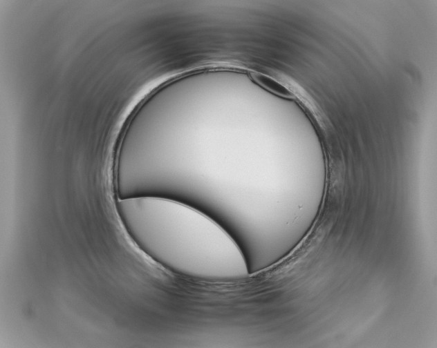 X0000113071339200908281001