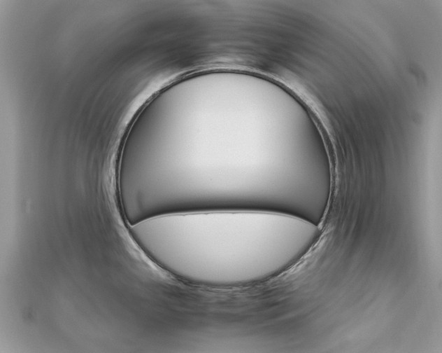 X0000113071341200908281001