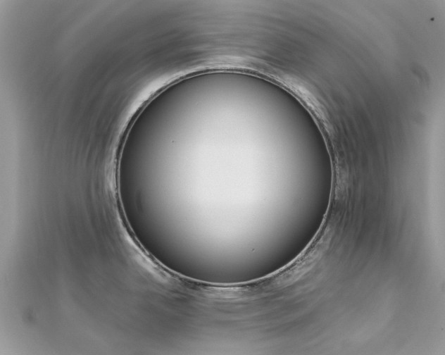 X0000113071342200908281001