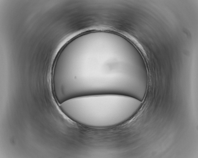 X0000113071343200908281001