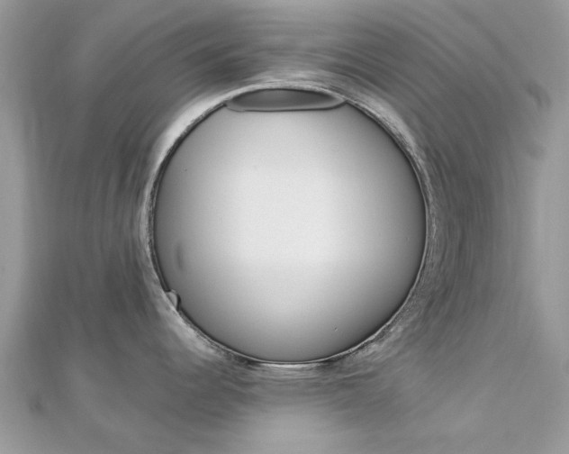 X0000113071344200908281001