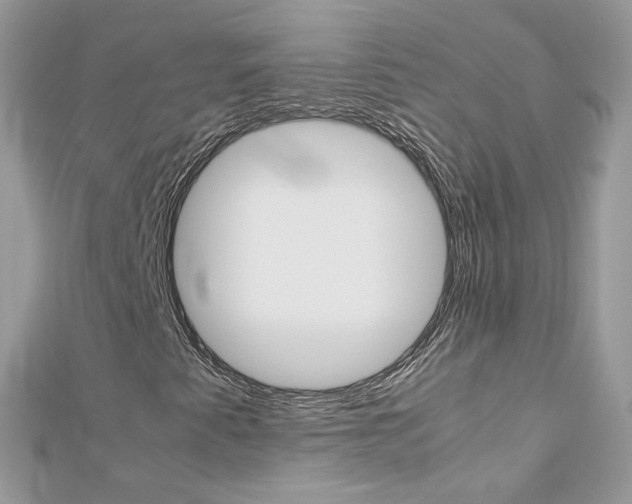 X0000113071345200908281001