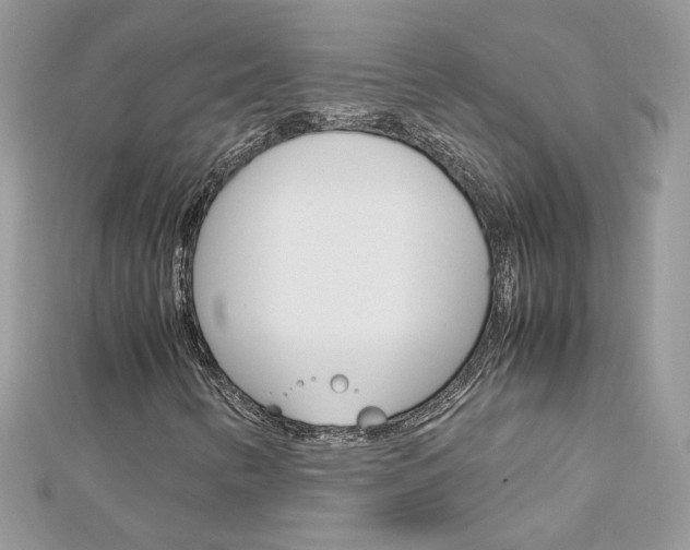 X0000113071346200908281001