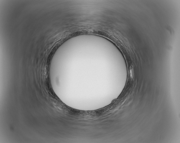 X0000113071347200908281001
