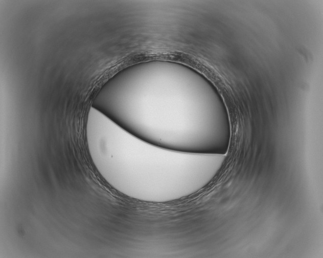 X0000113071348200908281001