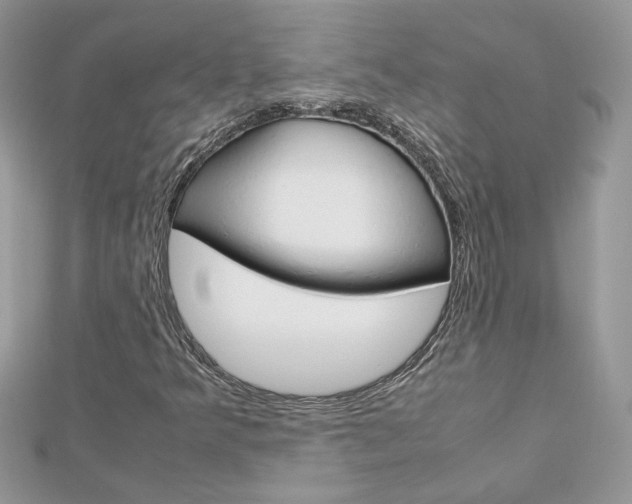 X0000113071349200908281001