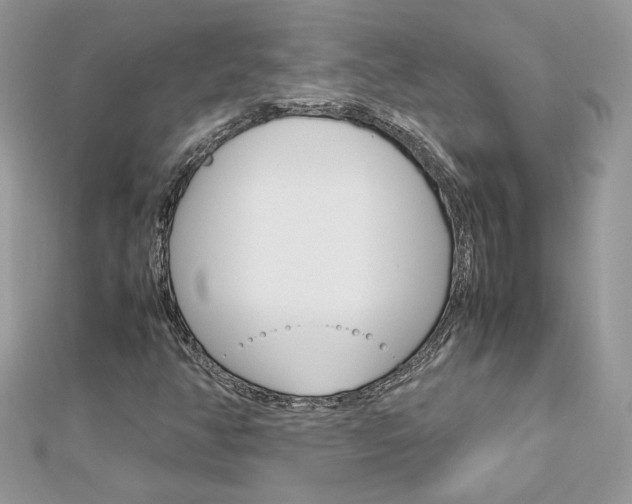 X0000113071350200908281001