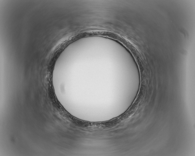 X0000113071351200908281001