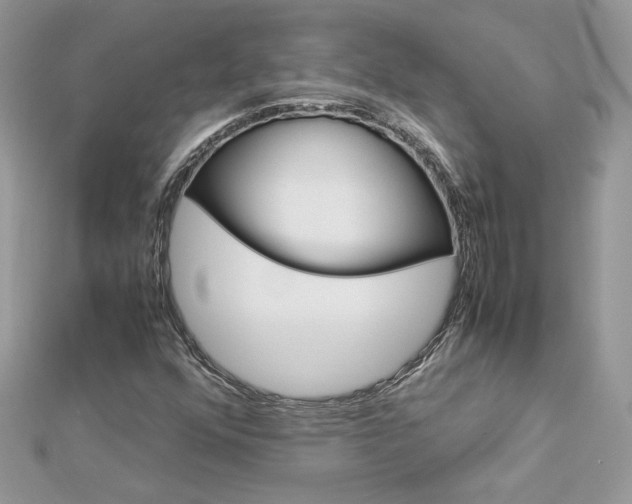 X0000113071352200908281001
