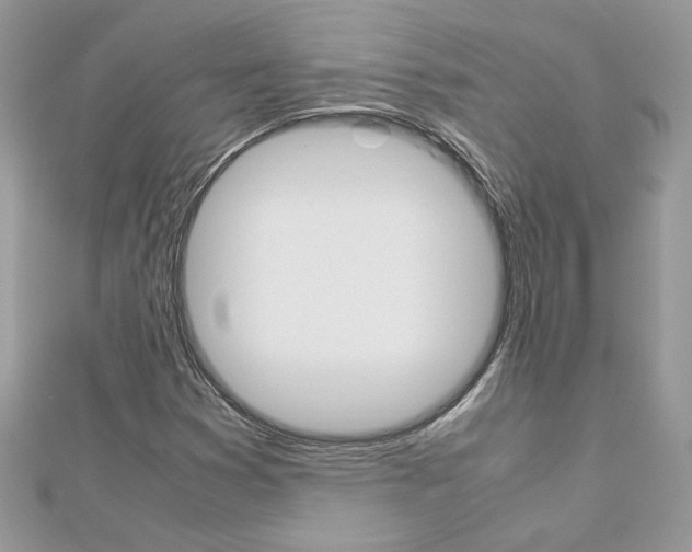 X0000113071353200908281001