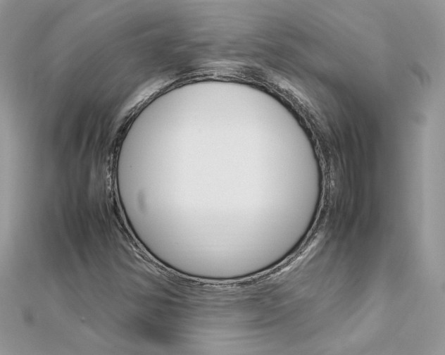X0000113071354200908281000
