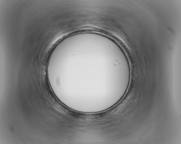 X0000113071355200908281000