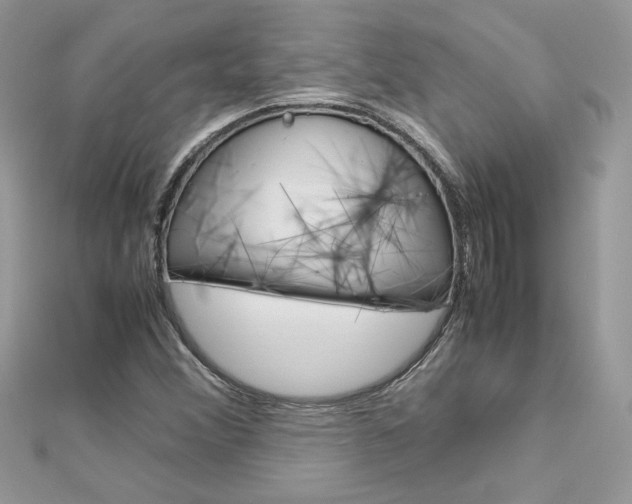 X0000113071356200908281000