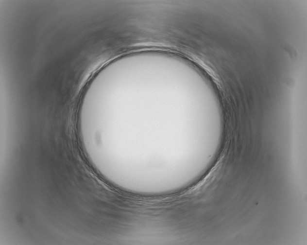 X0000113071357200908281000