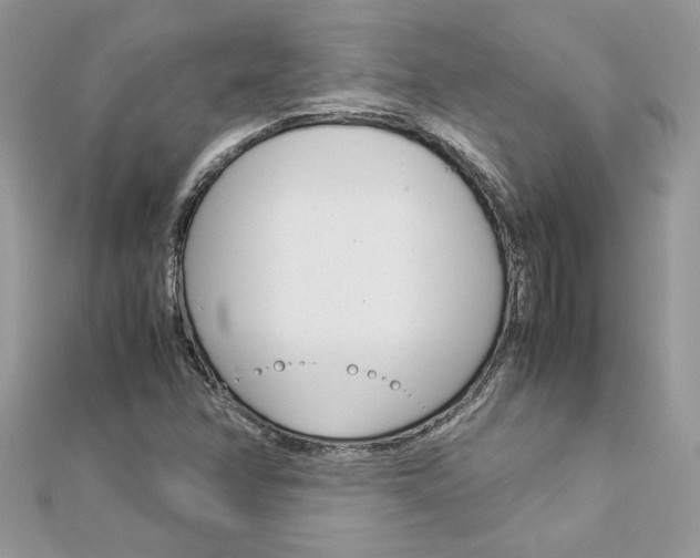 X0000113071358200908281000
