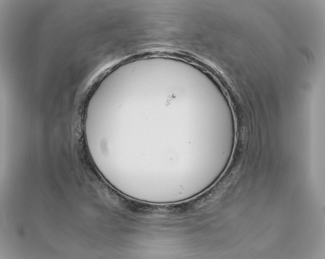 X0000113071359200908281000