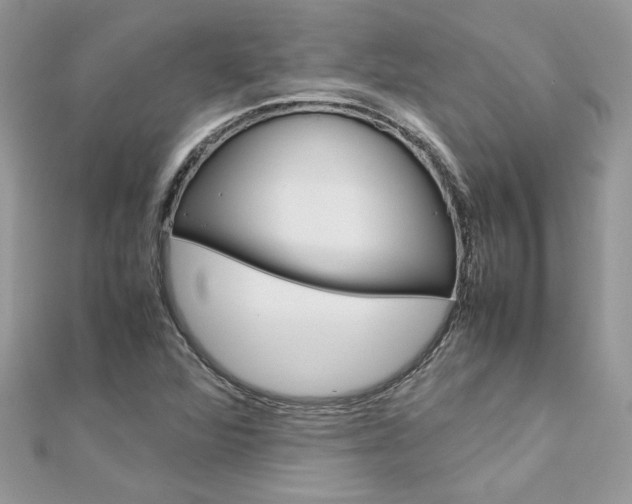 X0000113071360200908281000