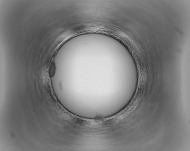 X0000113071361200908281000
