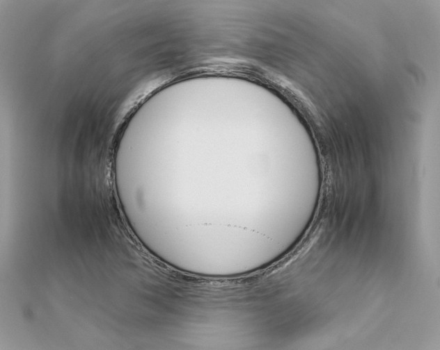 X0000113071362200908281000