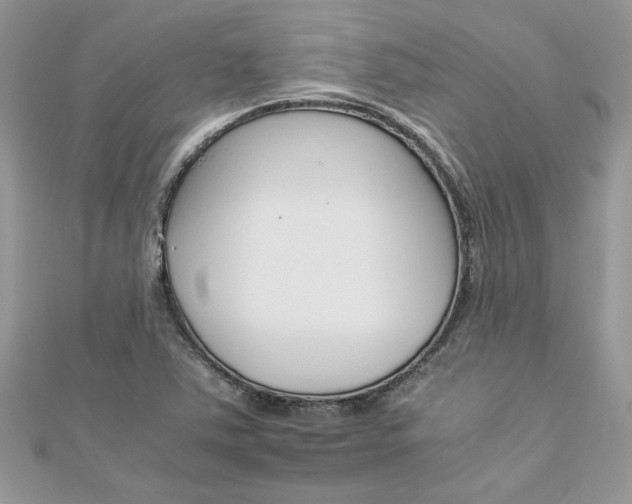 X0000113071363200908281000