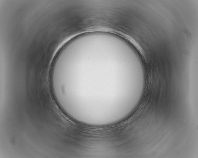 X0000113071364200908281000