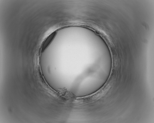 X0000113071365200908281000