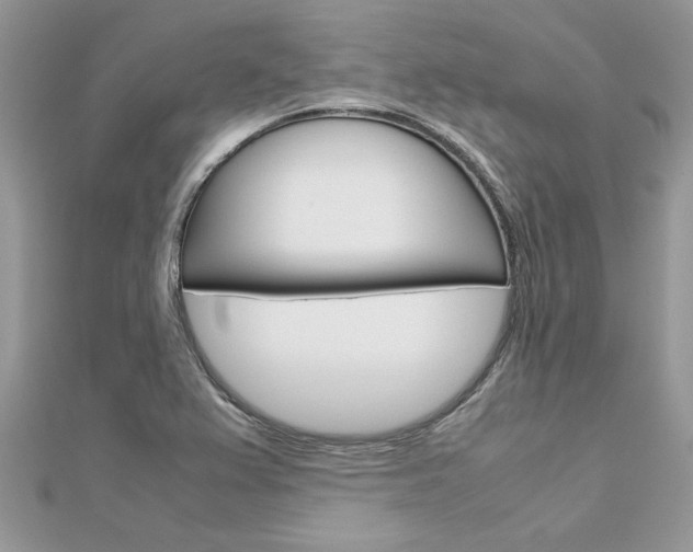 X0000113071367200908281000