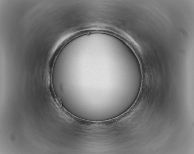 X0000113071368200908281000