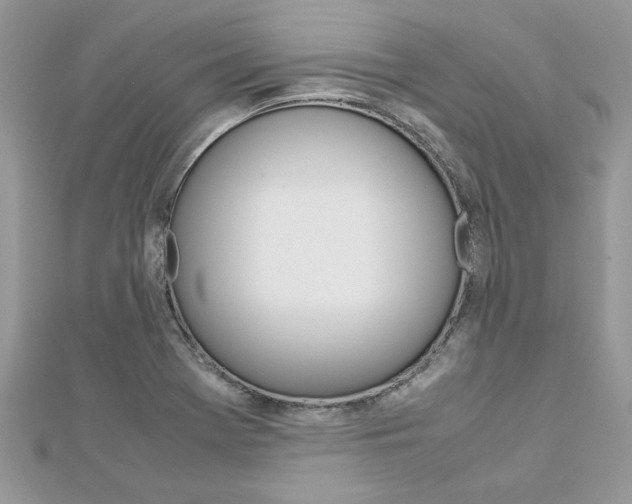 X0000113071369200908281000