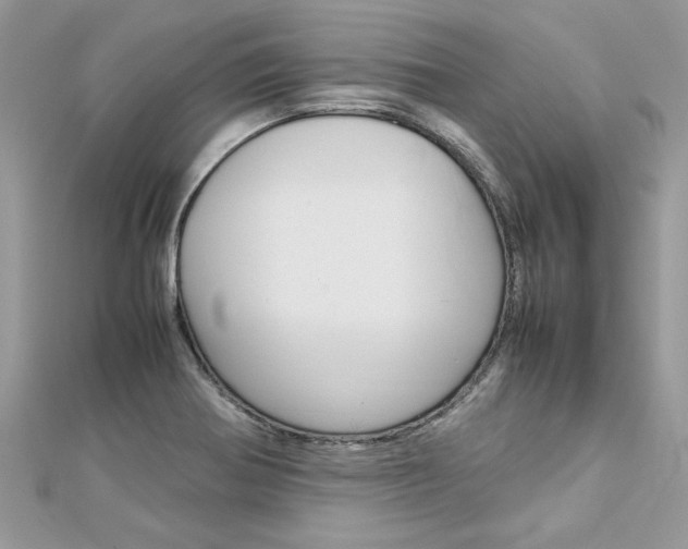 X0000113071370200908281000
