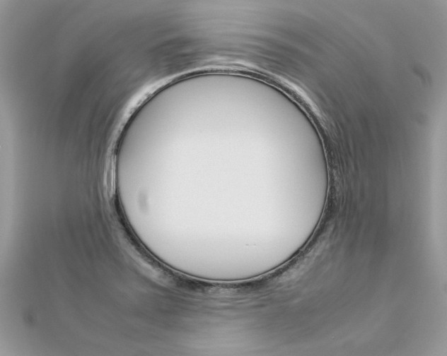 X0000113071371200908281000