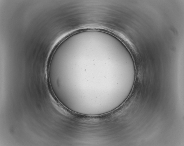 X0000113071372200908281000