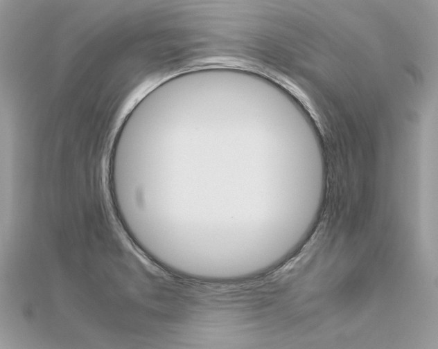 X0000113071373200908281000