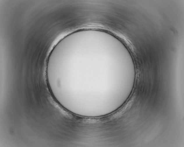 X0000113071374200908281000
