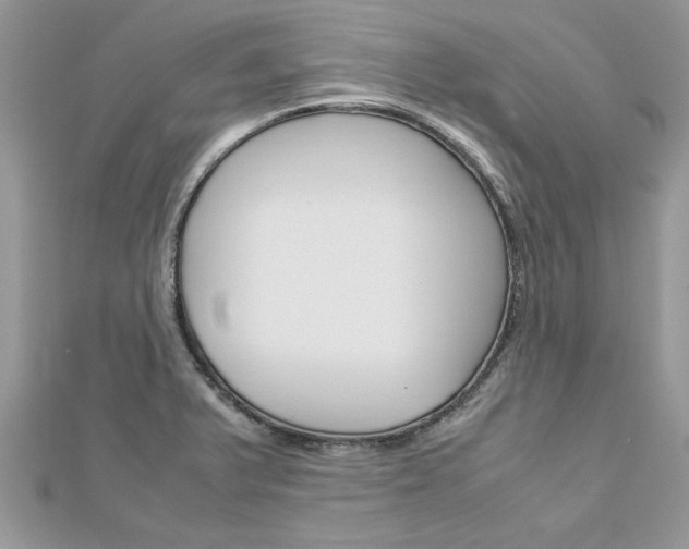 X0000113071375200908281000