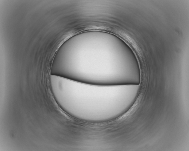 X0000113071377200908281000