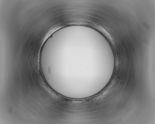 X0000113071378200908281000