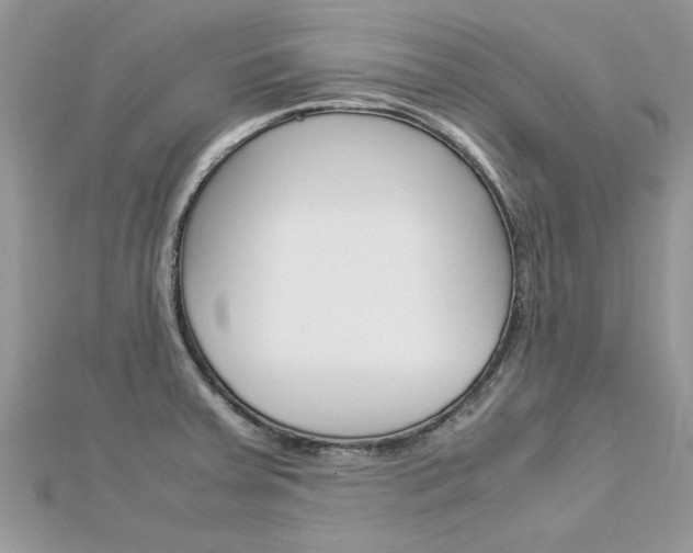 X0000113071379200908281000