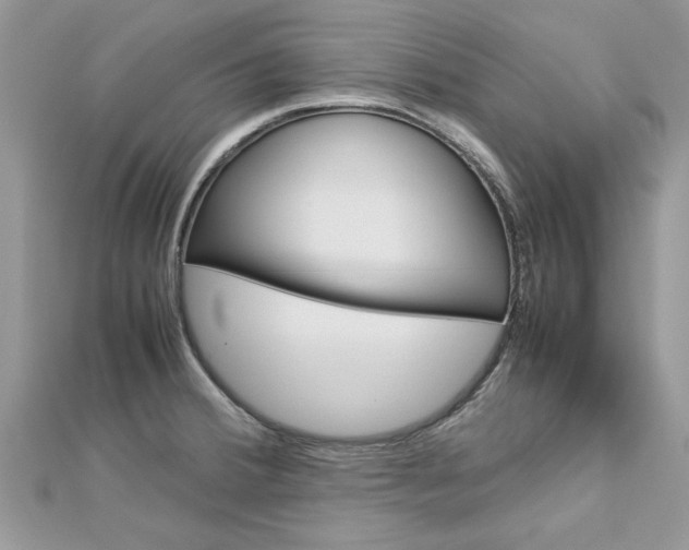 X0000113071380200908281000